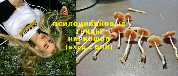 дурь Нефтекумск