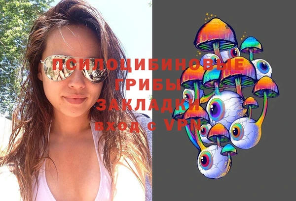 дурь Нефтекумск