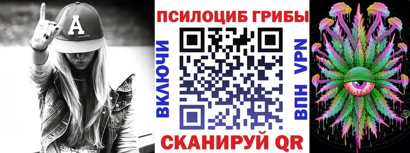 Псилоцибиновые грибы Psilocybe Оленегорск